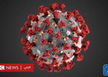 وزير ةالصحة تشرح بالفيديو الوضع الصحى لفيروس كورونا بمصر