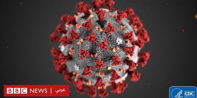 وزير ةالصحة تشرح بالفيديو الوضع الصحى لفيروس كورونا بمصر