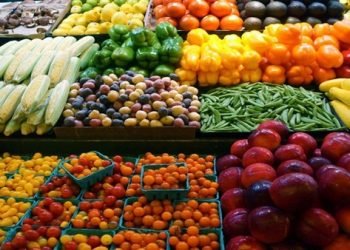 فوائد كورونا .. الصادرات الزراعية المصرية تغزو أسواق كل قارات العالم