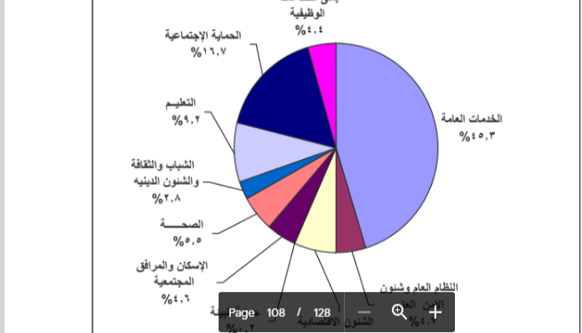 لماذا يلتهم قطاع الخدمات العامة أكثر من 45% من المصروفات ؟ .. يتكلف 776.5 مليار فى الموازنة الجديدة