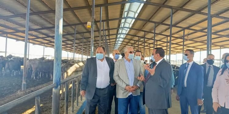 وزير الزراعة ومحافظ البحيرة يتفقدان محطة الإنتاج الحيواني وتصنيع الالبان بغرب النوبارية