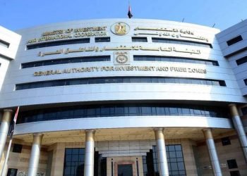 هيئة الاستثمار تقدم خدمات قطاع الأداء الإقتصادى إلكترونياً للتيسير على المستثمرين