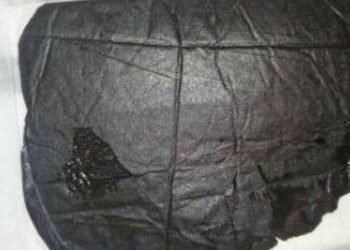 جمارك الطرود البريدية بالقاهرة تضبط 4 محاولات تهريب لمواد مخدرة