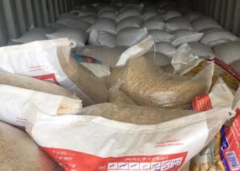 جمارك بورسعيد تضبط محاولة تهريب كمية من الفول الحصى | صور