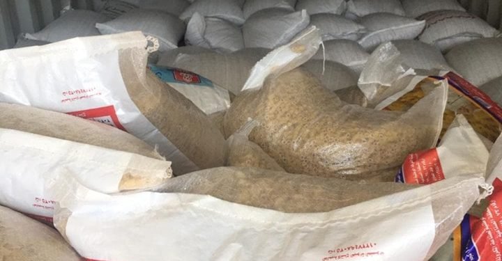 جمارك بورسعيد تضبط محاولة تهريب كمية من الفول الحصى | صور