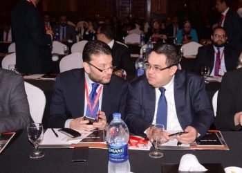 عمرو المنير