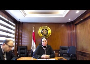 وزيرة الصناعة : أزمة كورونا ضغطت على كل القطاعات الانتاجية