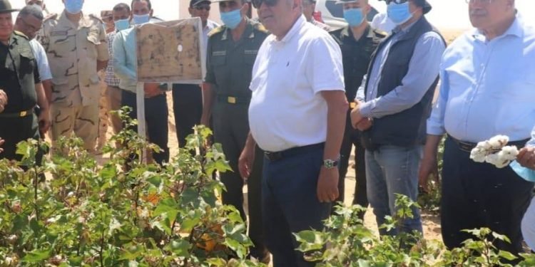 *وزير قطاع الأعمال العام يتفقد تجربة زراعة القطن قصير التيلة بشرق العوينات*