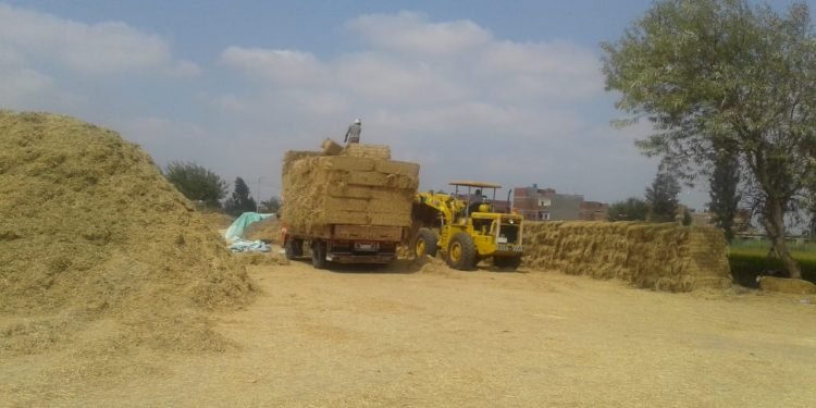 البيئة تشدد الرقابة على كافة مصادر التلوث لمواجهة نوبات تلوث الهواء الحادة