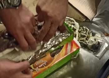 ضبط قطعتى حشيش و أقراص ترامادول مخبأة داخل البلح بجمارك القاهرة | صور
