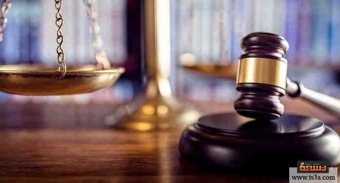 عاجل .. المالية توقع بروتوكولا جديدا مع المحامين لتحصيل ضريبة الجدول على خدمات المحاماه