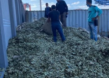 جمارك الاسكندرية تحبط تهريب 2.3 طن من مخدر الحشيش| صور