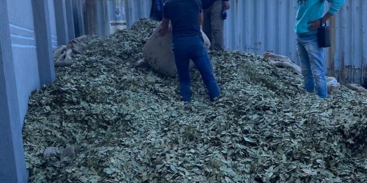 جمارك الاسكندرية تحبط تهريب 2.3 طن من مخدر الحشيش| صور