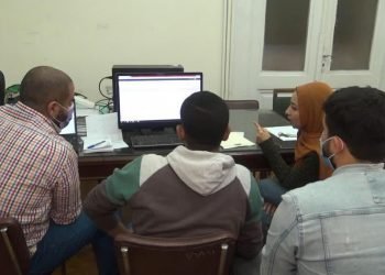 قطاع الأعمال العام