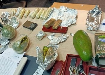 ضبط سبائك ذهبية بمطار القاهرة قبل تهريبها داخل ثمار الأفوكاتو