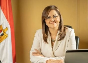 وزيرة التخطيط تصدر قرارات بتعيين محمد فريد مساعدًا للمشروعات القومية