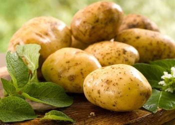 أسعار البطاطس في مصر تعاود الارتفاع.. وتجار يوضحون الأسباب