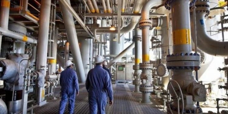 «دمياط للإسالة» تقدم أول شحنة غاز مسال لبلجيكا.. وتجهز اثنين لأوروبا