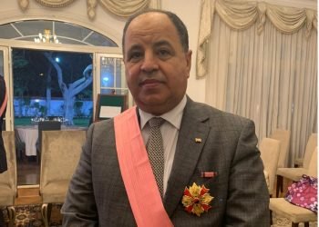 وزير المالية : ٢٥٠ مستوردًا انضموا إلى النظام الجمركى «ACI» خلال شهر