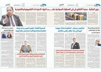 ابراهيم سرحان : الحكومة بذلت جهودا كبيرة فى بناء نظام رقمى متكامل