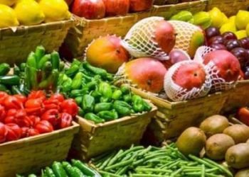 ارتفاع صادرات مصر من الحاصلات الزراعية خلال الـ 10 أشهر الأولى  2021/2020 لتسجل نحو2.215 مليار دولار