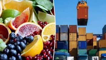 177 مليون دولار قيمة صادرات مصر الغذائية إلى السعودية خلال 7 أشهر