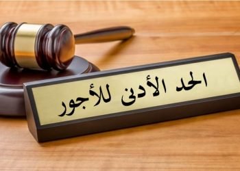 القوى العاملة: تطبيق الحد الأدنى للأجور بالقطاع الخاص بقيمة 2400 جنيه