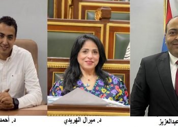 مستثمرو العكرشة يحددون 10 إجراءات عاجلة لتقنين أوضاع المصانع وضمها للمنظومة الرسمية