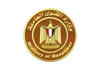 القوى العاملة: تعيين 91 شابا والتفتيش على 233 منشأة بالوادي الجديد