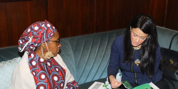 رانيا المشاط.. تبحث مع وزيرة المالية النيجيرية تعزيز آليات التكامل مع قارة أفريقيا