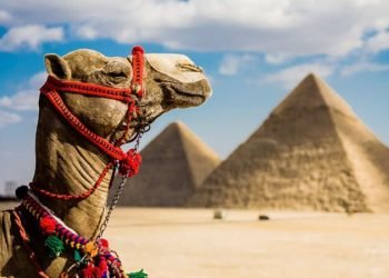 غدا.. فتح جميع المتاحف الأثرية بمحافظات الجمهورية مجانًا أمام الجمهور