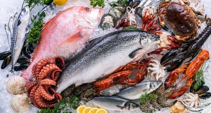 أرتفاع أسعار السمك البلطى والبورى بسوق العبور اليوم