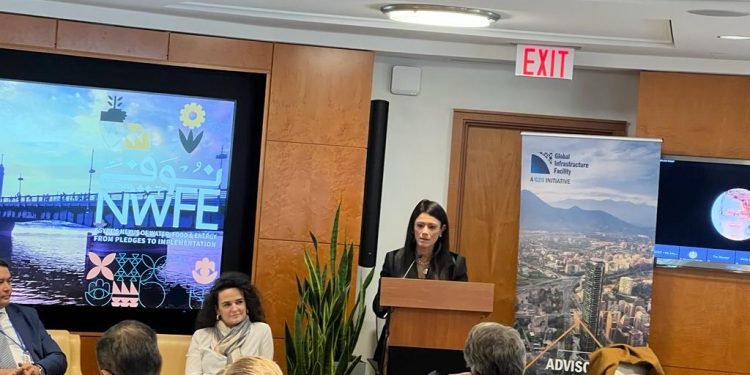 المشاط تلتقي بنوك الاستثمار ومؤسسات التمويل الدولية للترويج لمنصة المشروعات الخضراء “نُوَفِّي”