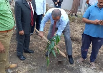 سعفان يشارك في زراعة  500 شجرة مثمرة بالمعاهد الأزهرية  