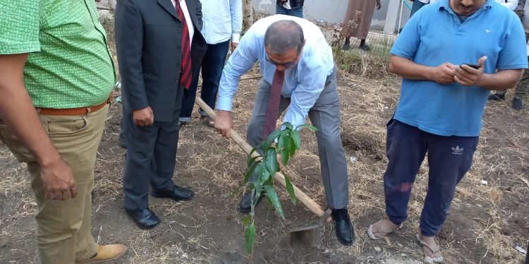 سعفان يشارك في زراعة  500 شجرة مثمرة بالمعاهد الأزهرية  