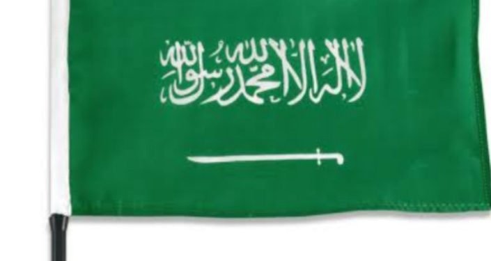 بعد الفوز العربي الأول علي الأرجنتين..تقرير يوضح ترتيب مصر بقائمة الدول المصدرة للسعودية