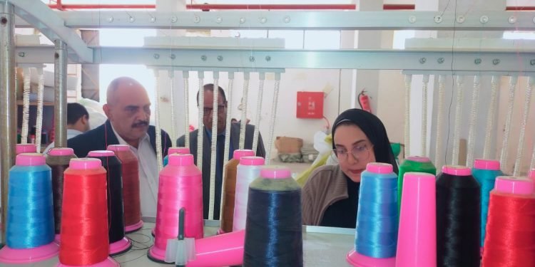 “القوي العاملة” تتفقد العمالة بمصانع المنطقة الصناعية ببني سويف