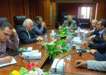 شعبة التسمين: خطة جديدة لخفض تكلفة إنتاج الدواجن وضبط الأسعار خلال الشتاء