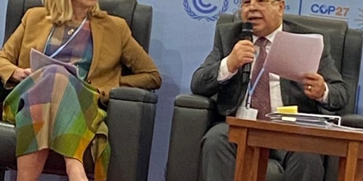 وزير المالية : نستهدف آليات ميسرة لتقليل تكلفة التمويل الأخضر للدول الأفريقية