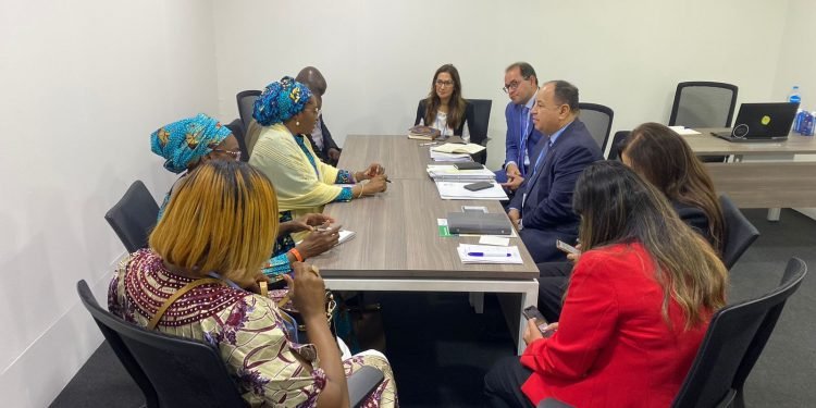 وزير المالية لنظيرته النيجيرية : نتطلع إلى تعظيم الجهود الدولية لتبنى الأولويات الأفريقية لمكافحة التغير المناخي
