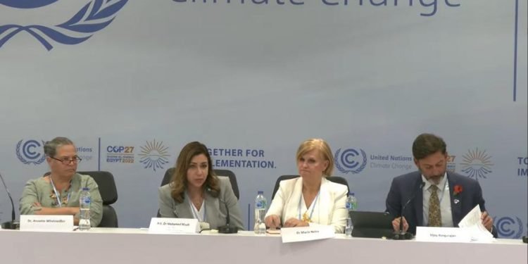 وزير المالية : لابد من حشد التمويل الدولى لبناء نظم صحية مقاومة للمناخ بالبلدان النامية