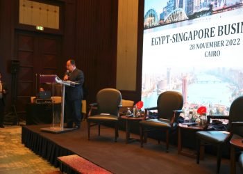 وزير المالية خلال منتدى الأعمال المصري السنغافوري :  أداء الاقتصاد المصرى جيد رغم كل التحديات العالمية شديدة الصعوبة