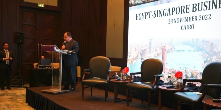 وزير المالية خلال منتدى الأعمال المصري السنغافوري :  أداء الاقتصاد المصرى جيد رغم كل التحديات العالمية شديدة الصعوبة