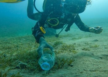 باديا تدعم حملات توعية بمبادرة اتحضر للأخضر لنشر الوعي بالحفاظ على الموارد الطبيعية