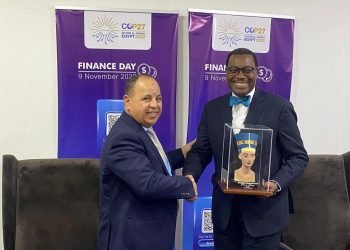 وزير المالية : البنك الأفريقي للتنمية يمكن أن يلعب دورًا مهمًا في توصيل الأولويات القارية للمجتمع الدولي