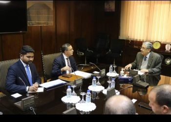 وزير الكهرباء يبحث مع سفير الهند آليات التعاون في قطاع الطاقة المتجددة