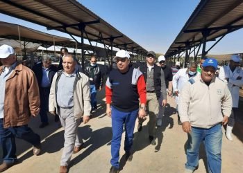 وزير قطاع الأعمال العام خلال زيارته لتوشكي يوجه بالتوسع في زراعة القمح وزيادة مساحته إلى 50%..(بالصور)  