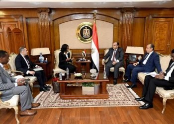 وزير التجارة والصناعة يبحث مع وفد البنك الأفريقي للتصدير والاستيراد استعدادات استضافة القاهرة لمعرض التجارة البينية الإفريقي خلال نوفمبر المقبل