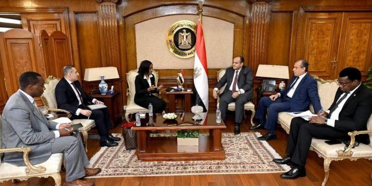 وزير التجارة والصناعة يبحث مع وفد البنك الأفريقي للتصدير والاستيراد استعدادات استضافة القاهرة لمعرض التجارة البينية الإفريقي خلال نوفمبر المقبل