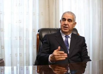 المنزلاوي: قرارات الأعلى للاستثمار جاذبة للاستثمار الأجنبي وتعالج جميع التحديات الاقتصادية